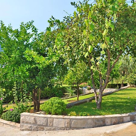 קוטור Apartmani Cetkovic מראה חיצוני תמונה