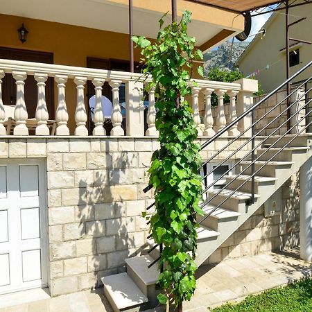 קוטור Apartmani Cetkovic חדר תמונה