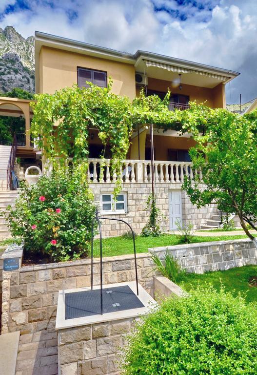 קוטור Apartmani Cetkovic מראה חיצוני תמונה
