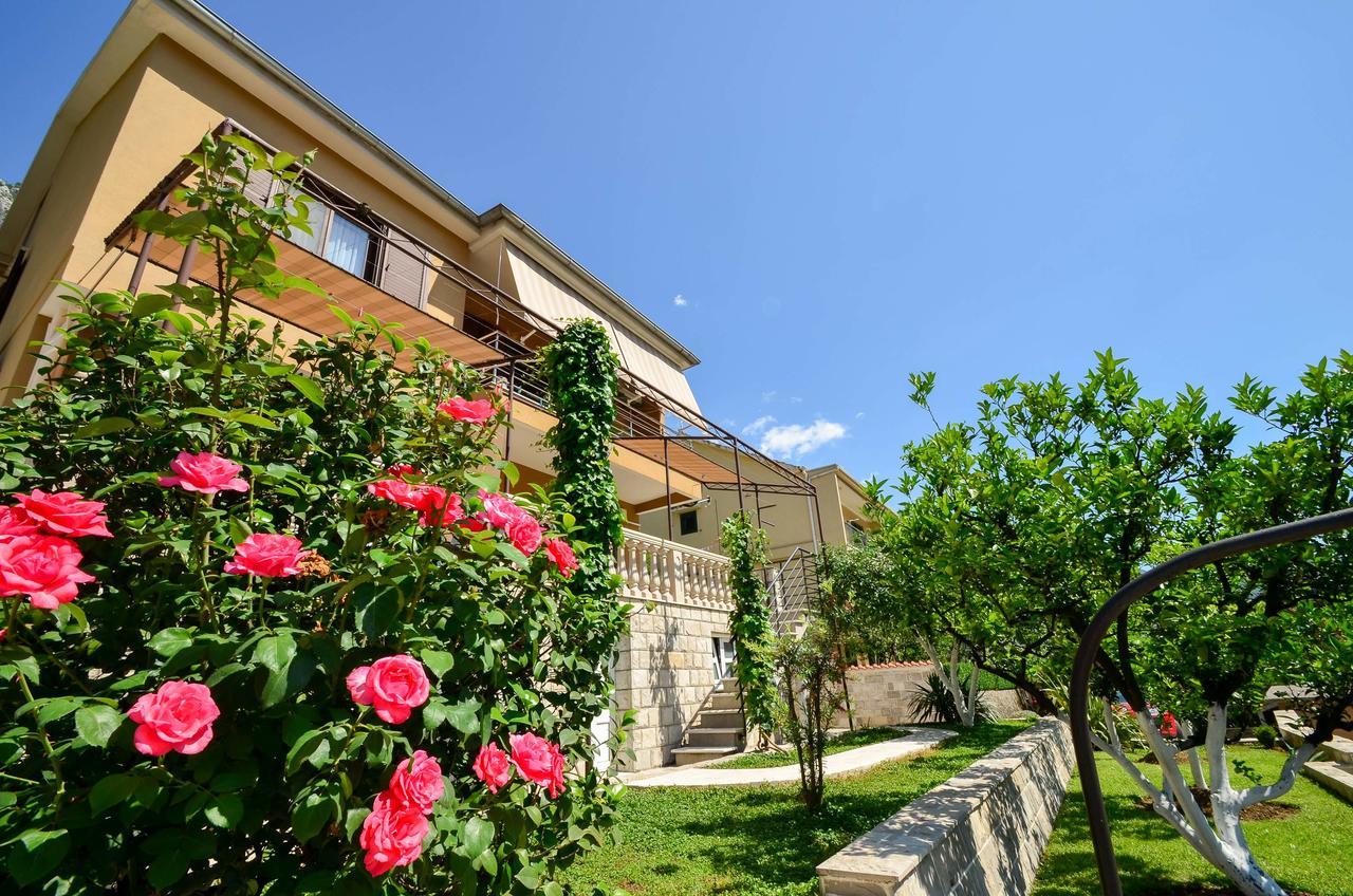 קוטור Apartmani Cetkovic מראה חיצוני תמונה